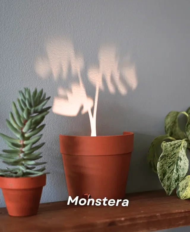Avtoit | Garden-Graveyard-Plant Pot with LED Light Projection