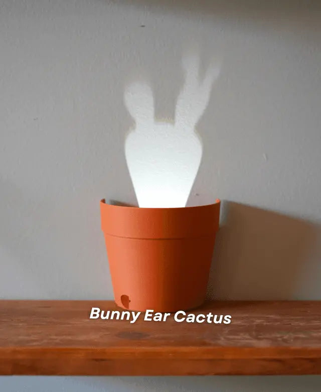 Avtoit | Garden-Graveyard-Plant Pot with LED Light Projection