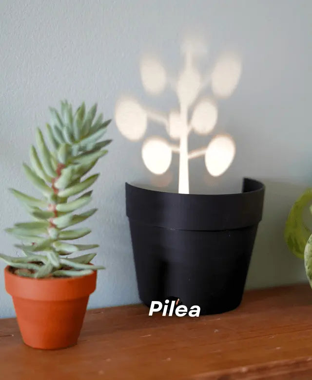 Avtoit | Garden-Graveyard-Plant Pot with LED Light Projection