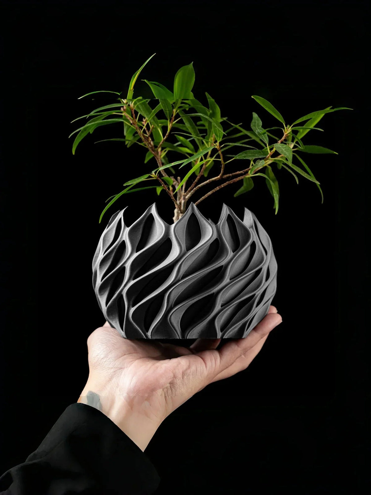 Avtoit | Geometric Flower Pot | 3D Printed Planter made of Bioplastic