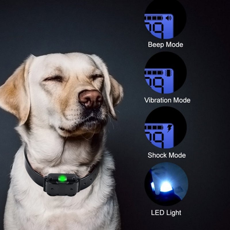 Avtoit | Long Shot Electric Dog Training Waterproof Collar