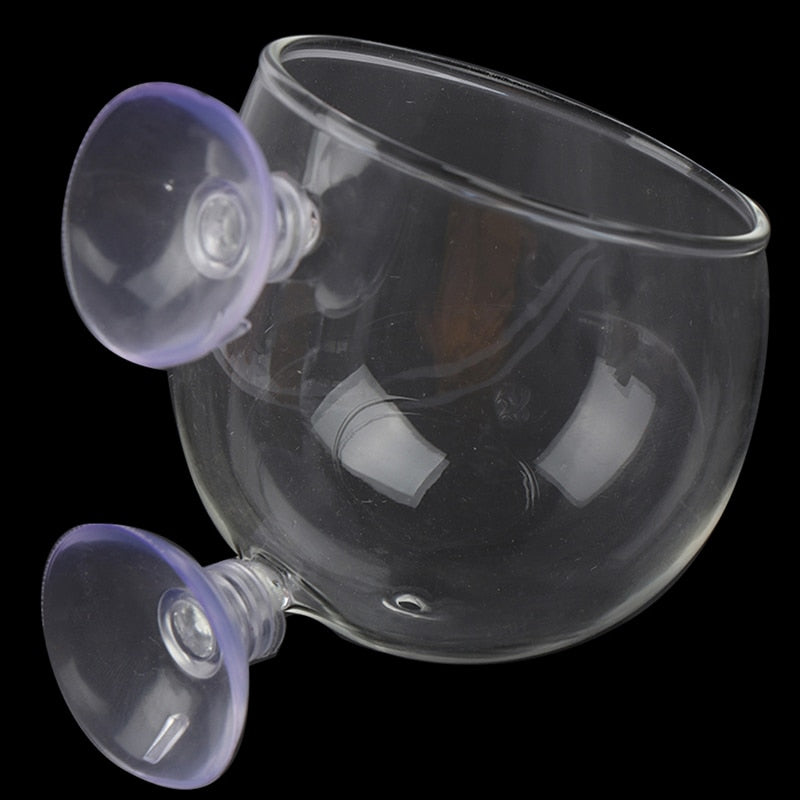 Avtoit | Creative Aquarium Fish Tank Glass Vase