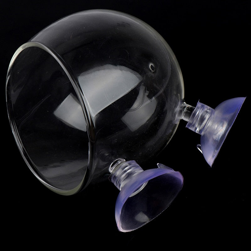 Avtoit | Creative Aquarium Fish Tank Glass Vase