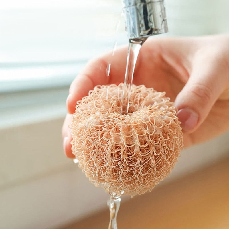 Avtoit | Surprise Egg Kitchen Cleaning Brush