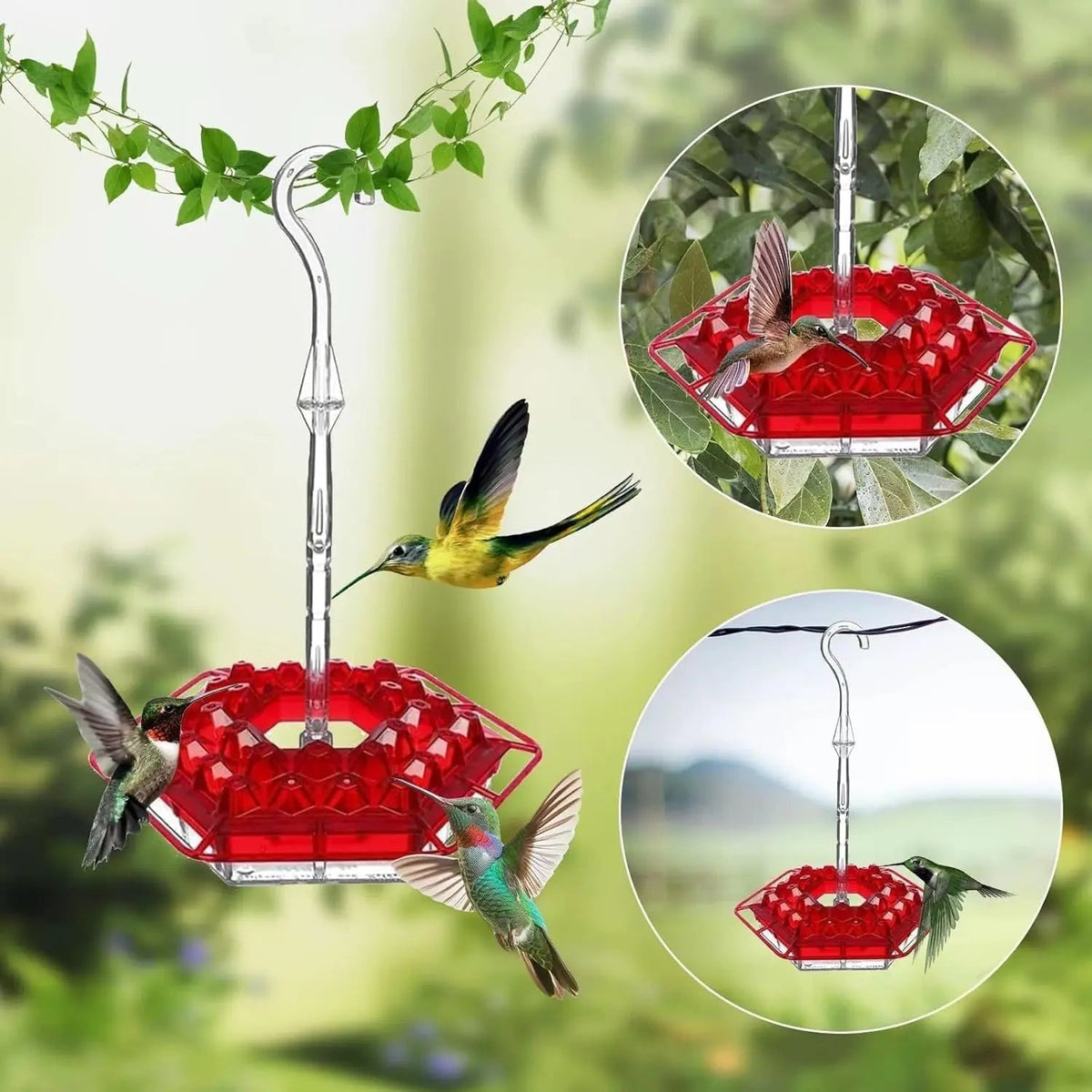 Avtoit | Hanging Nectar Dispenser – Attracts Hummingbirds & Keeps Insects Away