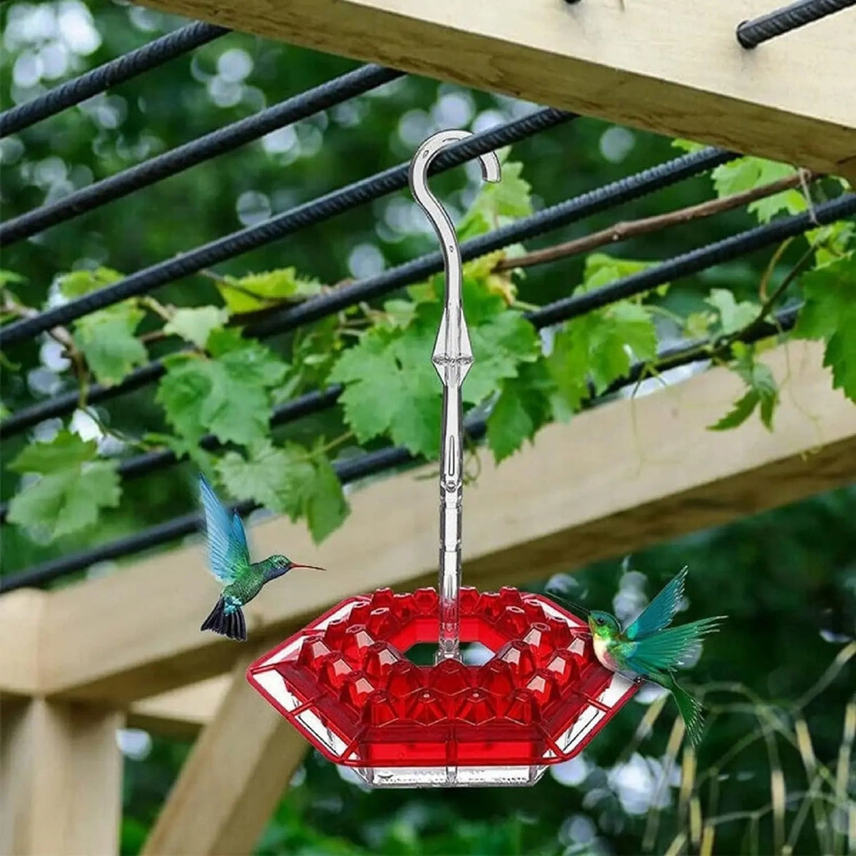 Avtoit | Hanging Nectar Dispenser – Attracts Hummingbirds & Keeps Insects Away