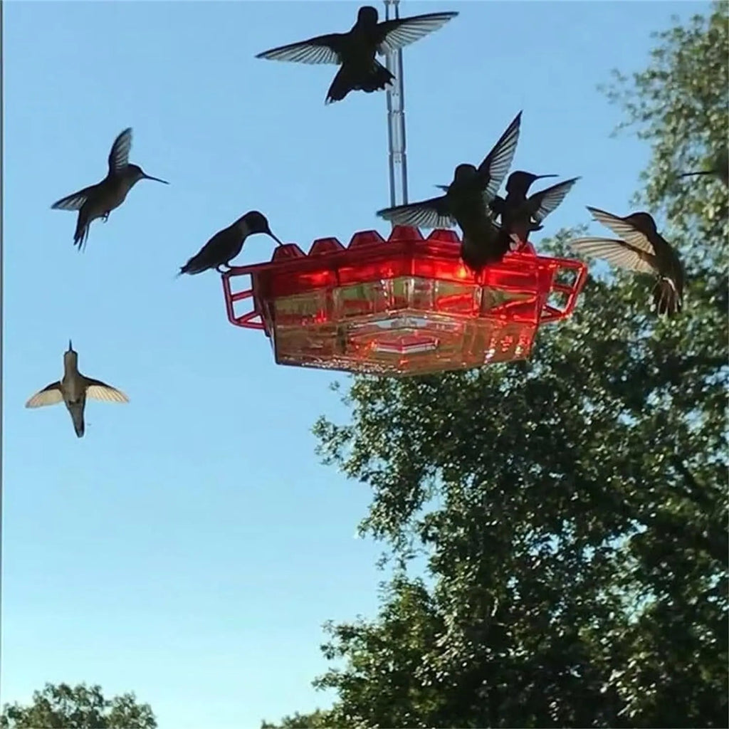 Avtoit | Hanging Nectar Dispenser – Attracts Hummingbirds & Keeps Insects Away