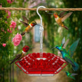 Avtoit | Hanging Nectar Dispenser – Attracts Hummingbirds & Keeps Insects Away