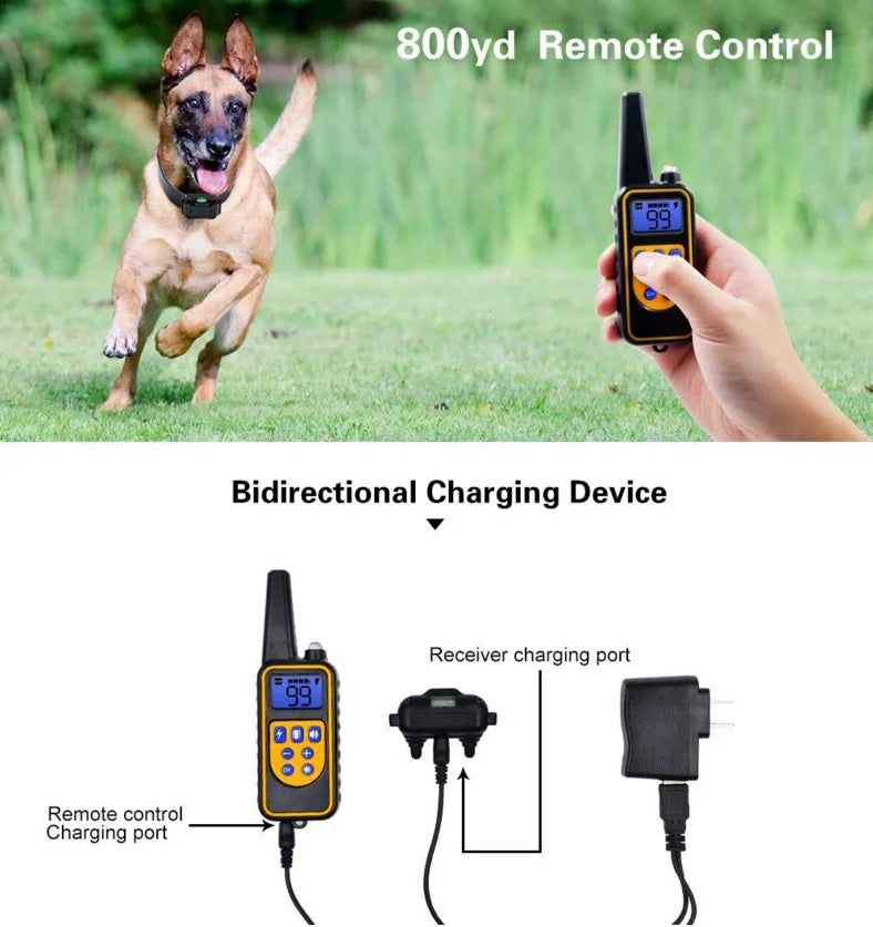 Avtoit | Adjustable Electric Dog Training E-Collar – Safe, Effective Remote Control