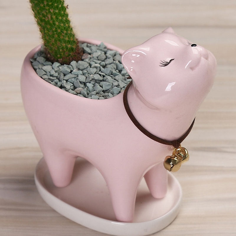 Avtoit | Rising Cat Ceramic Flower Pot