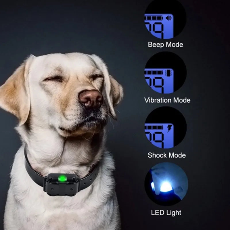 Avtoit | Adjustable Electric Dog Training E-Collar – Safe, Effective Remote Control