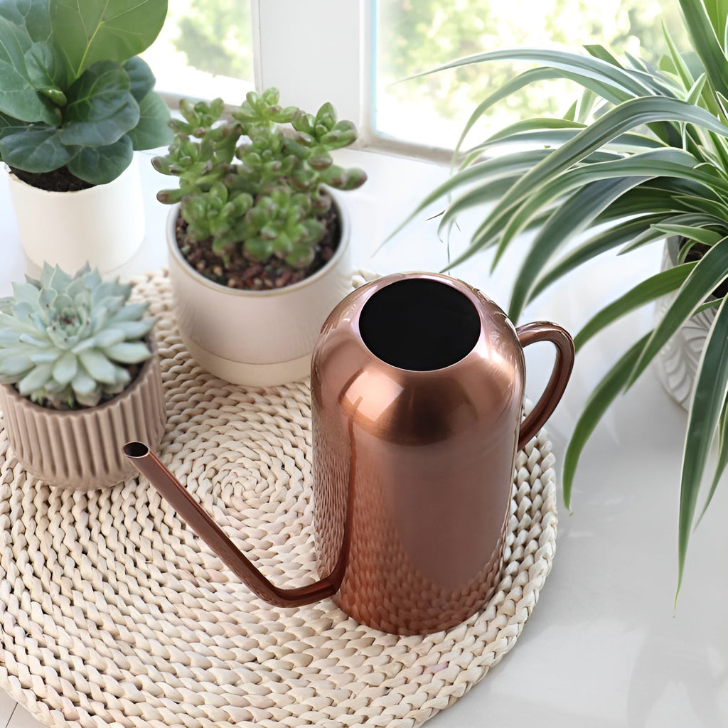 Avtoit | Stainless Steel Pourer - 1.5L Long Watering Can for Plants and Flowers