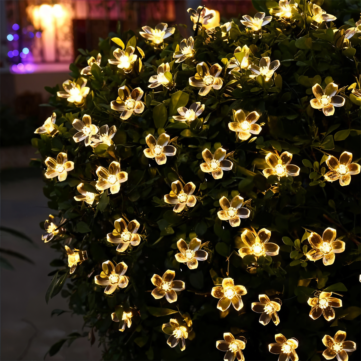 Avtoit | Sparkle String Lights - Decorative Ball, Flower, Star, Snowflake LED String Lights
