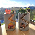 Avtoit | Hedgehog Plant Pot Made of Resin for Succulents