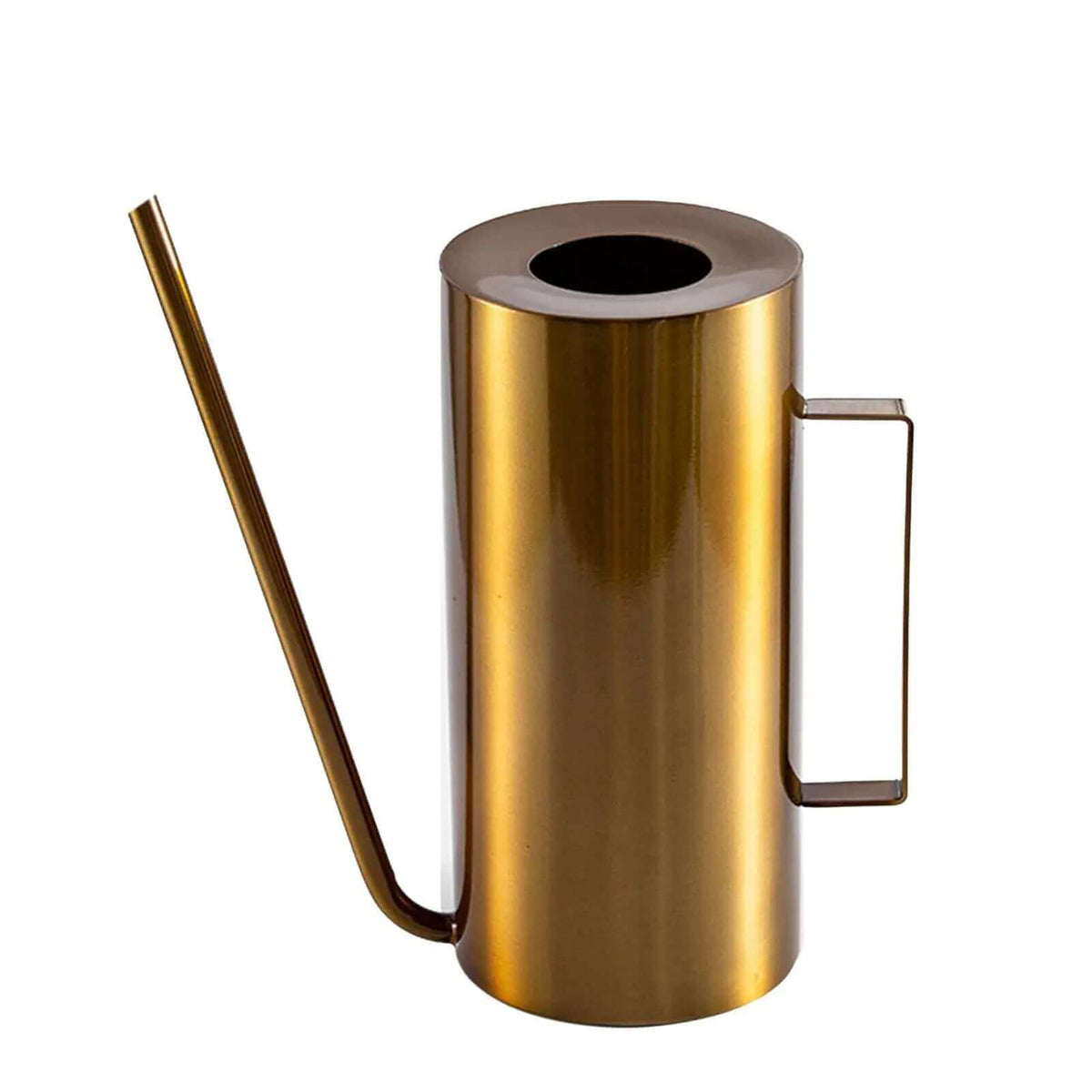 Avtoit | Japanese 1.5L Bonsai Watering Can