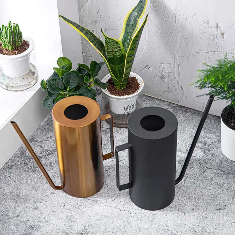 Avtoit | Japanese 1.5L Bonsai Watering Can