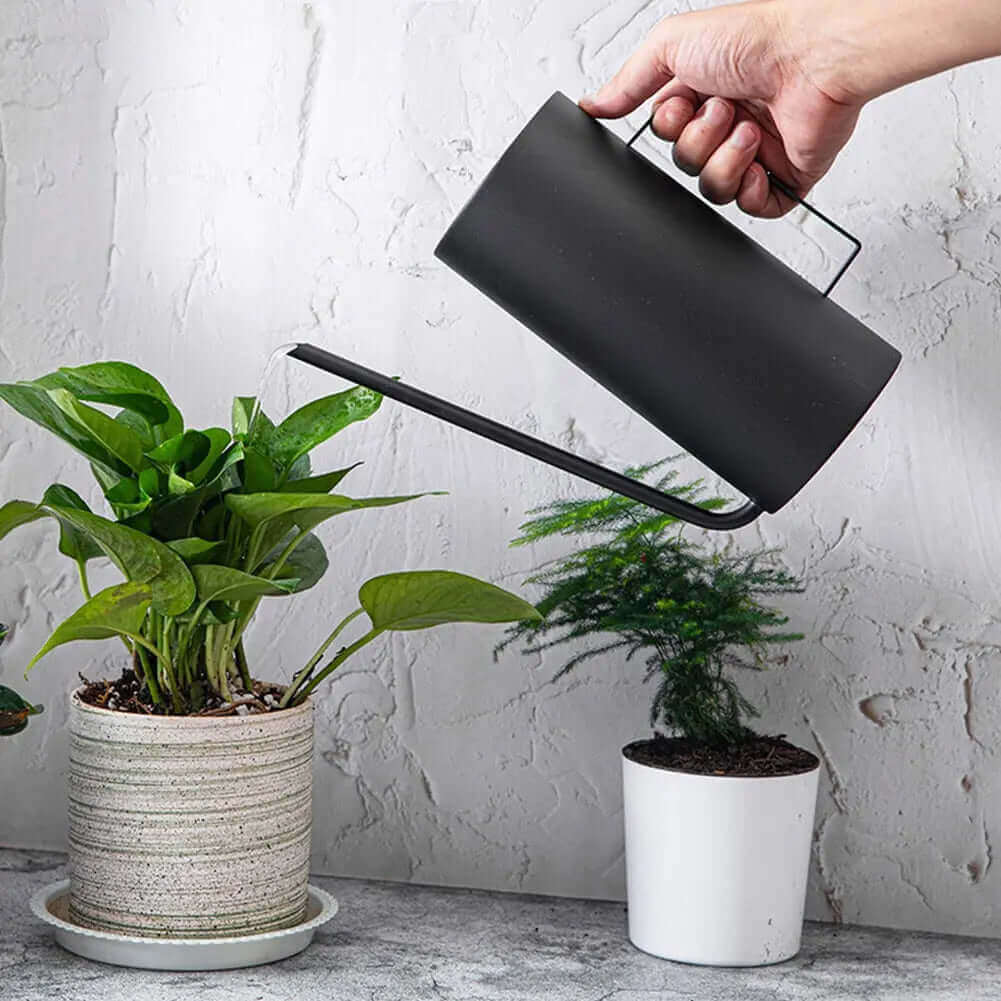 Avtoit | Japanese 1.5L Bonsai Watering Can
