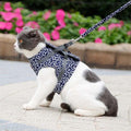 Avtoit | Cat harness vest for safety & comfort