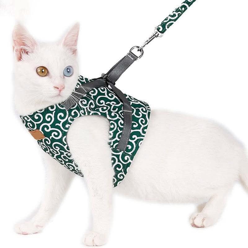 Avtoit | Cat harness vest for safety & comfort