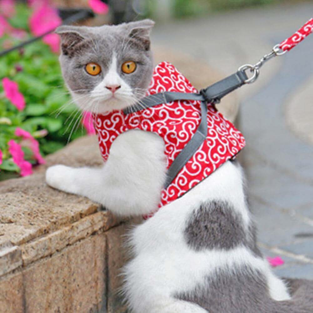 Avtoit | Cat harness vest for safety & comfort
