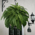 Avtoit | Artificial Boston Fern Bundle - UV resistant & easy to care for (18 stems)