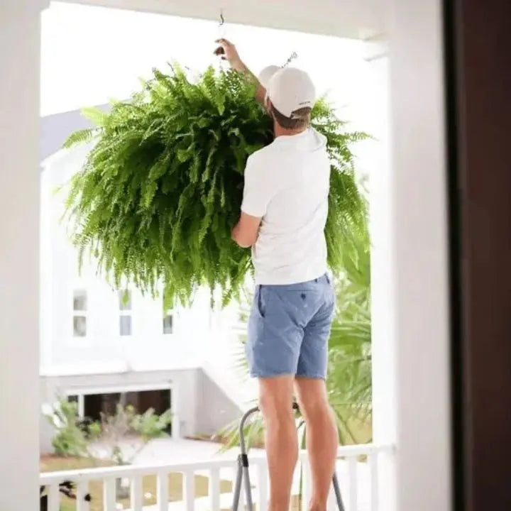 Avtoit | Artificial Boston Fern Bundle - UV resistant & easy to care for (18 stems)