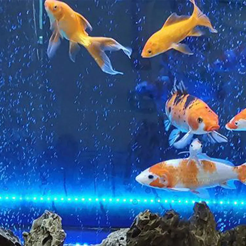 Avtoit | LED Aquarium Air Bubble with Color Change Lighting