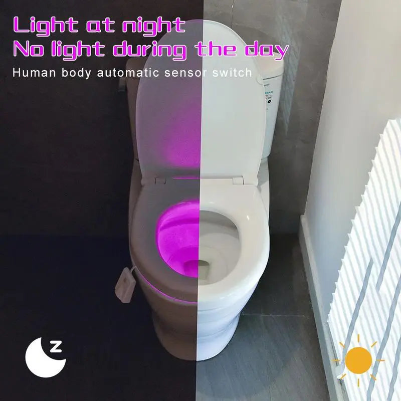 Avtoit | LED Toilet Light with Motion Sensor – Practical Gift