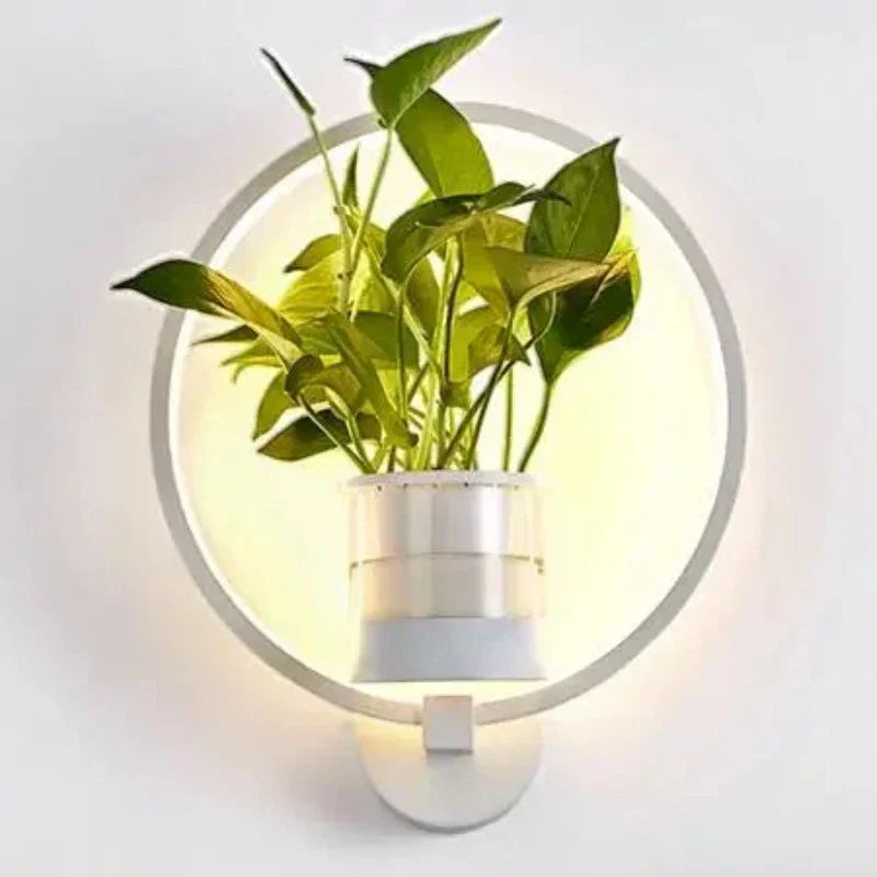 Avtoit | Luminaire Sconce - Plant Wall Light