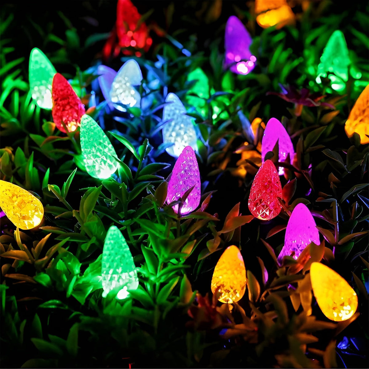 Avtoit | Luxury LED String Lights | Weatherproof Outdoor Christmas Lighting