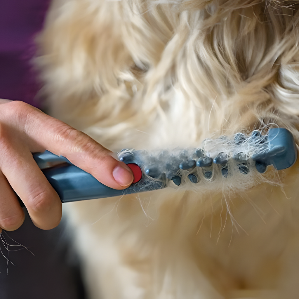 Avtoit | Tangle-Free Pet Grooming Brush – Gentle & Effective Detangler for Cats & Dogs