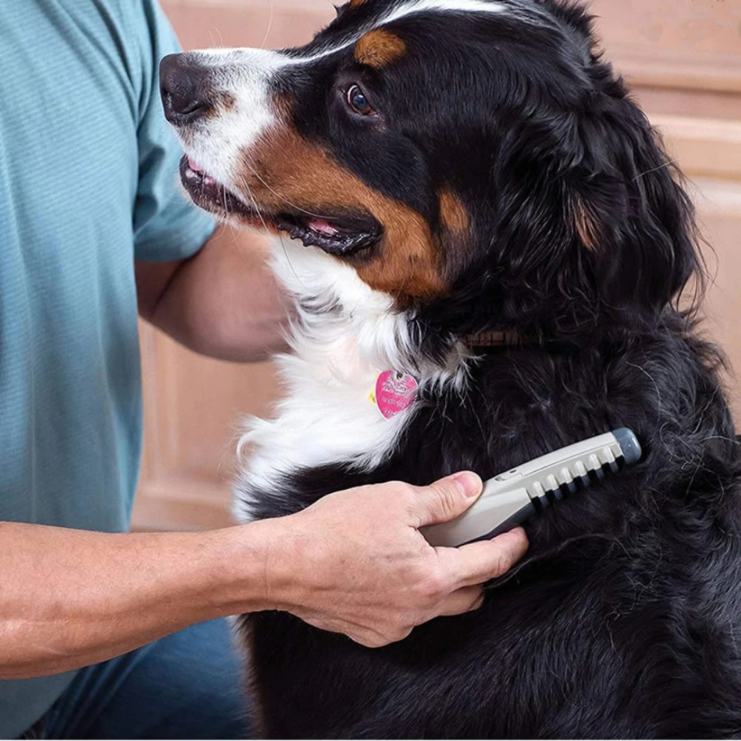 Avtoit | Tangle-Free Pet Grooming Brush – Gentle & Effective Detangler for Cats & Dogs