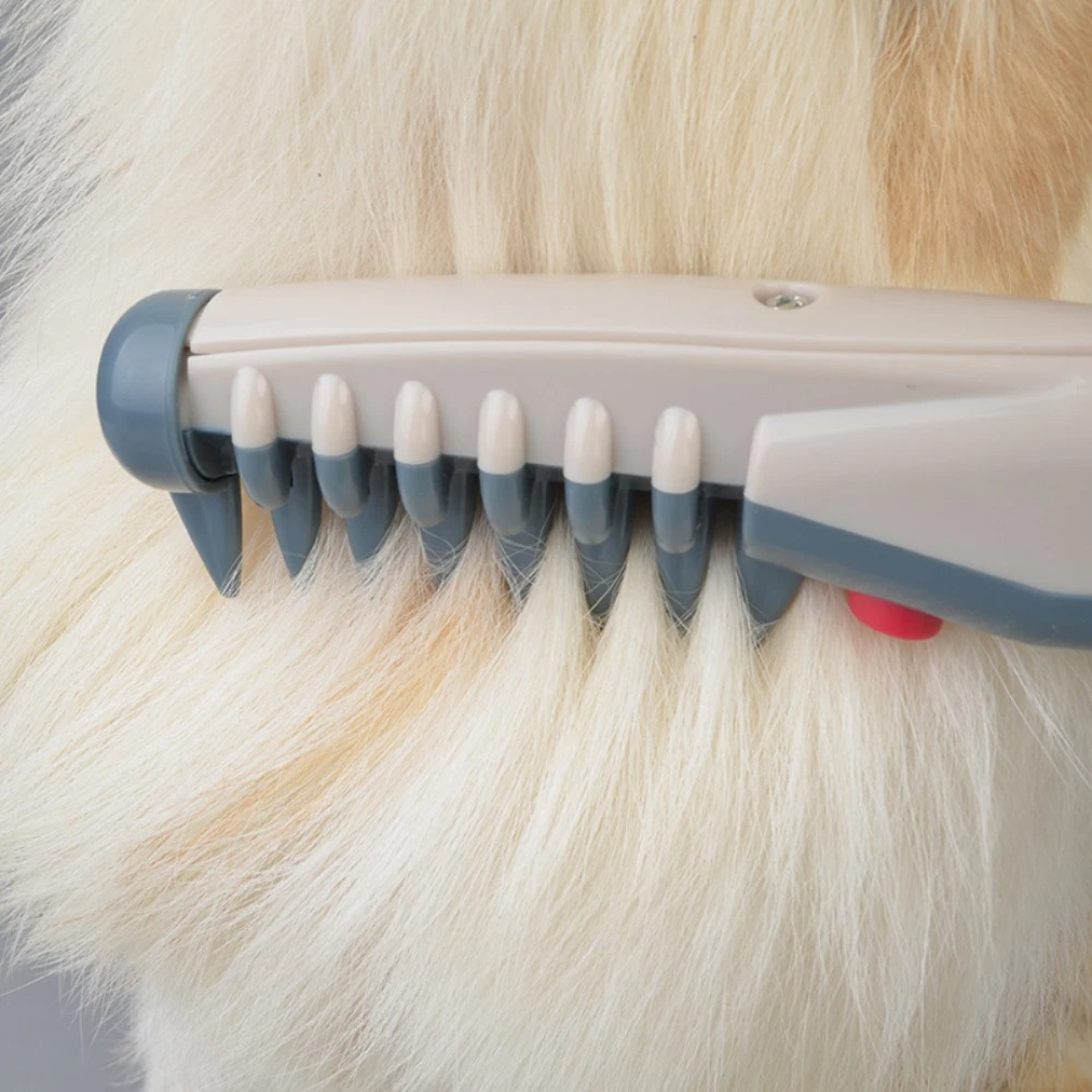 Avtoit | Tangle-Free Pet Grooming Brush – Gentle & Effective Detangler for Cats & Dogs