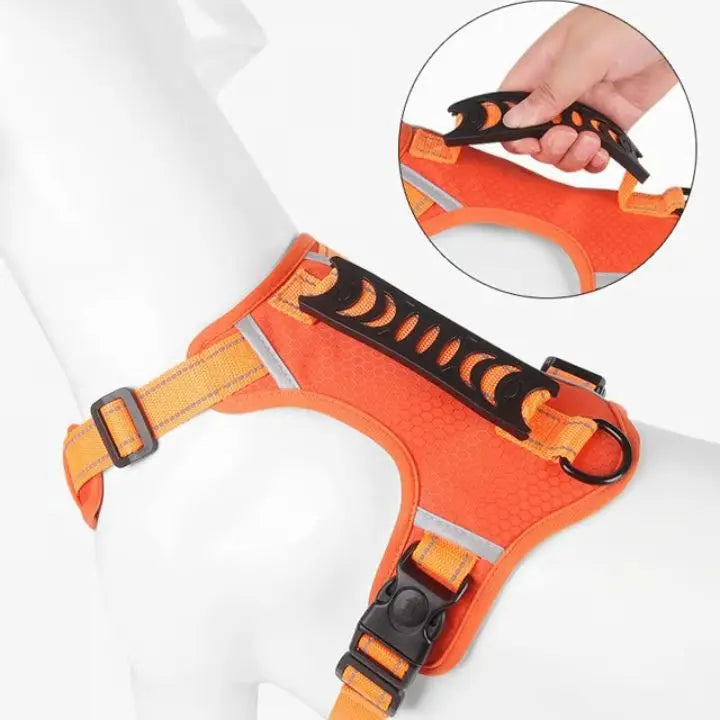 Avtoit | No-Pull Dog Harness with Reflective Nylon