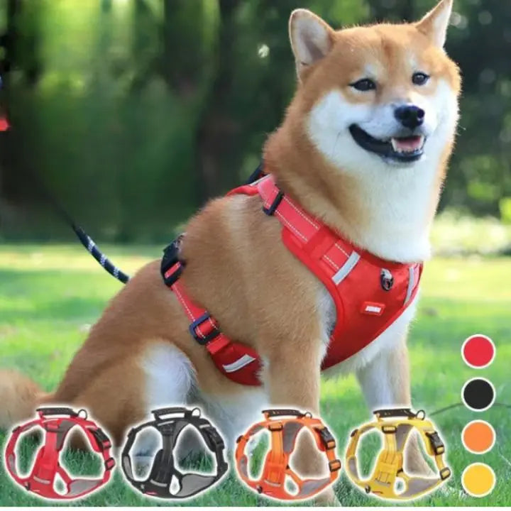 Avtoit | No-Pull Dog Harness with Reflective Nylon