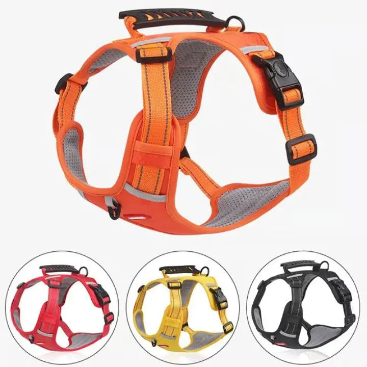 Avtoit | No-Pull Dog Harness with Reflective Nylon