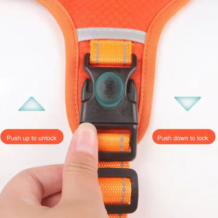 Avtoit | No-Pull Dog Harness with Reflective Nylon