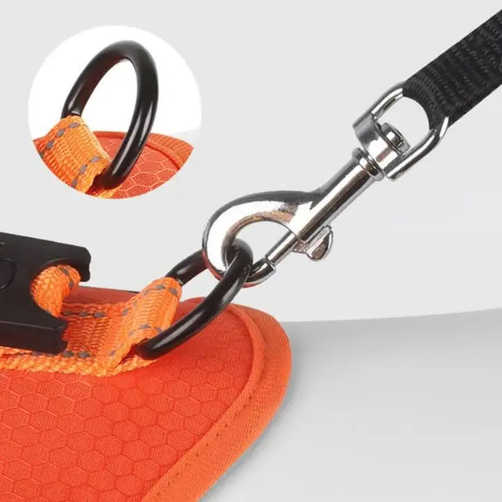 Avtoit | No-Pull Dog Harness with Reflective Nylon