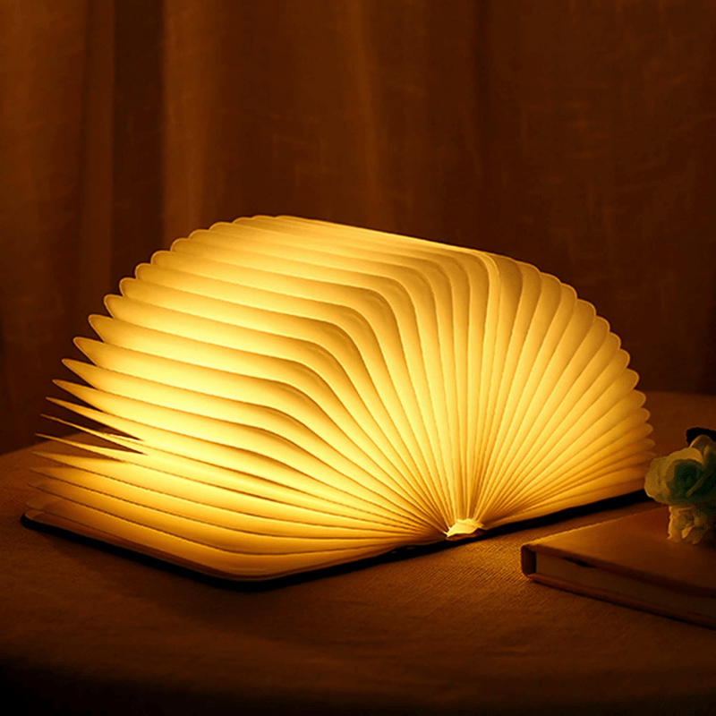 Avtoit | Book Light