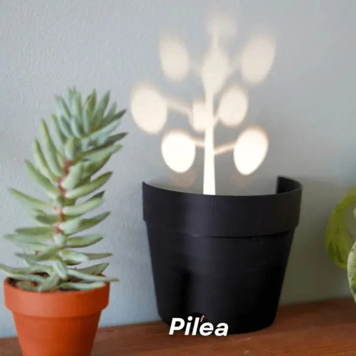 Avtoit | Plant pot with 7 light projections for wall decor