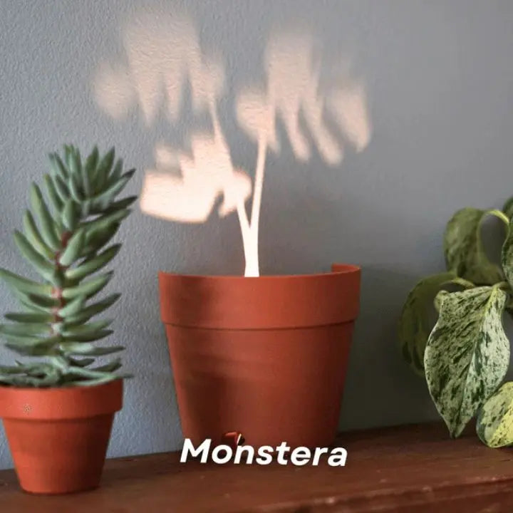 Avtoit | Plant pot with 7 light projections for wall decor