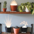 Avtoit | Plant pot with 7 light projections for wall decor