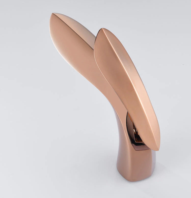 Avtoit | Luxurious modern bathroom faucet