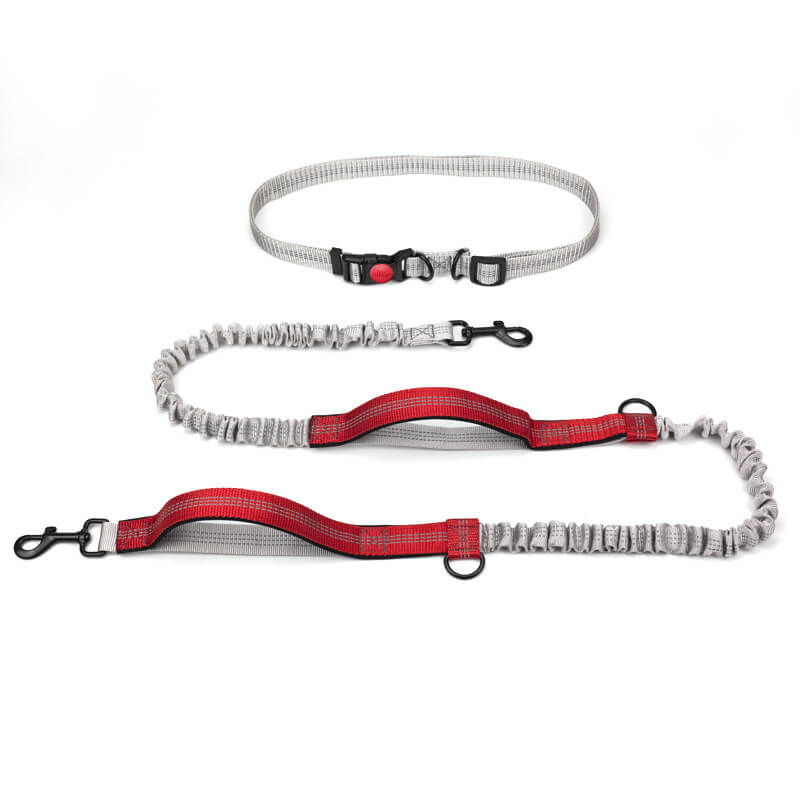 Avtoit | Telescopic Double Handle Multifunctional Dog Leash