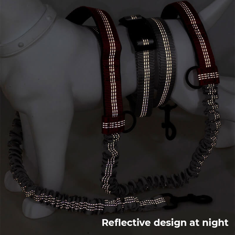 Avtoit | Telescopic Double Grip Multifunctional Dog Leash