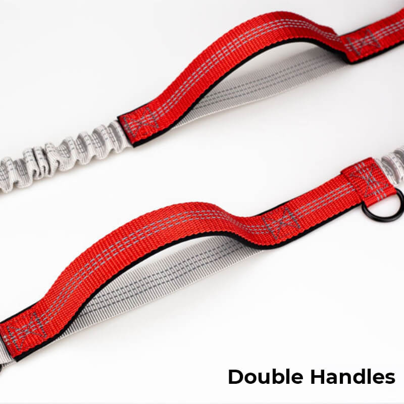 Avtoit | Telescopic Double Grip Multifunctional Dog Leash