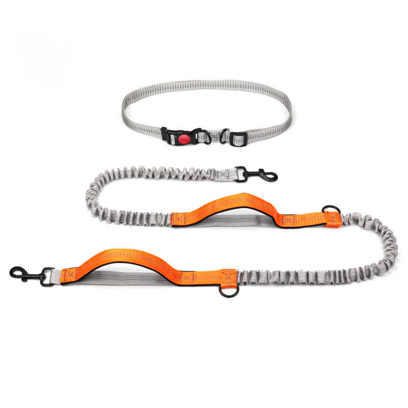Avtoit | Telescopic Double Handle Multifunctional Dog Leash