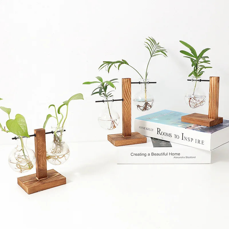 Avtoit | Vasoya Glass Vases | 3-Piece Set with Wooden Frame | Scandinavian & Versatile | For Flowers & Hydroponics
