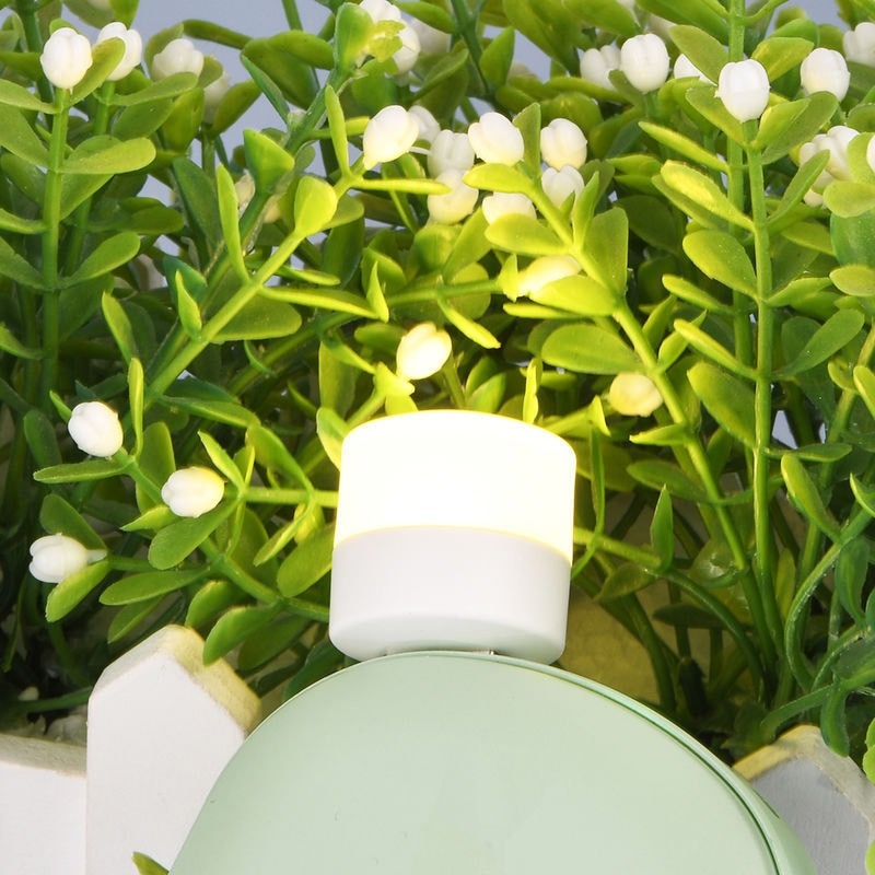 Avtoit | 5 Piece Eye Lamp