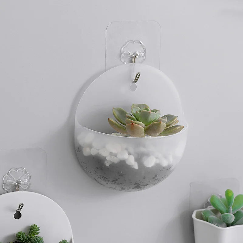 Avtoit | FloataWall Planter | Floating Design | Self-adhesive for Modern Wall Decoration